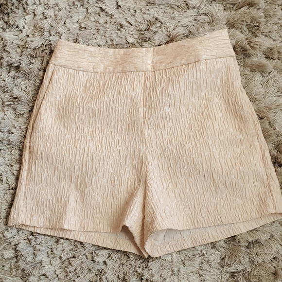 Express shorts - Picture 2 of 2